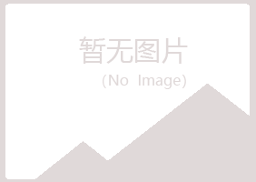 伊春南岔夜山化学有限公司